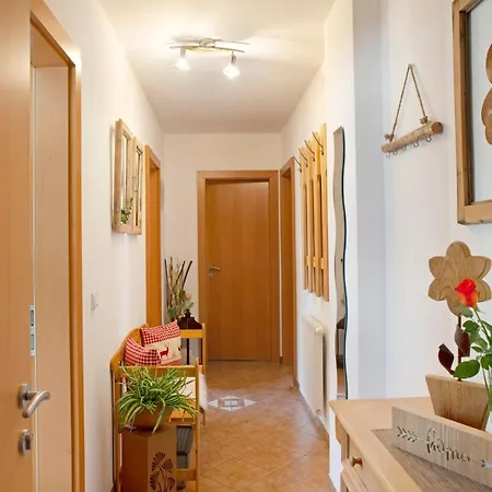 Διαμέρισμα Haus Roland Zell am Ziller